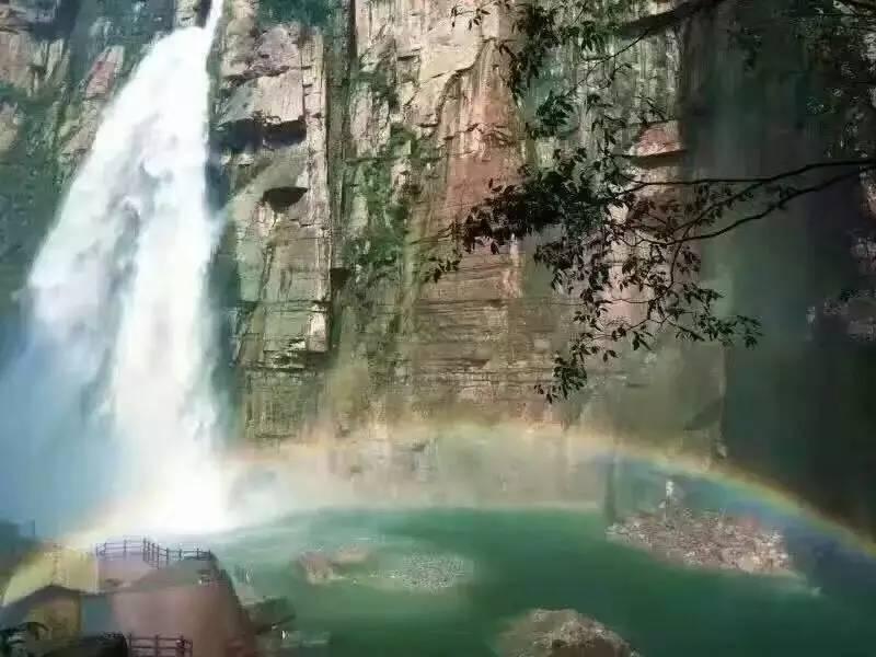 滚动的奶酪选关版